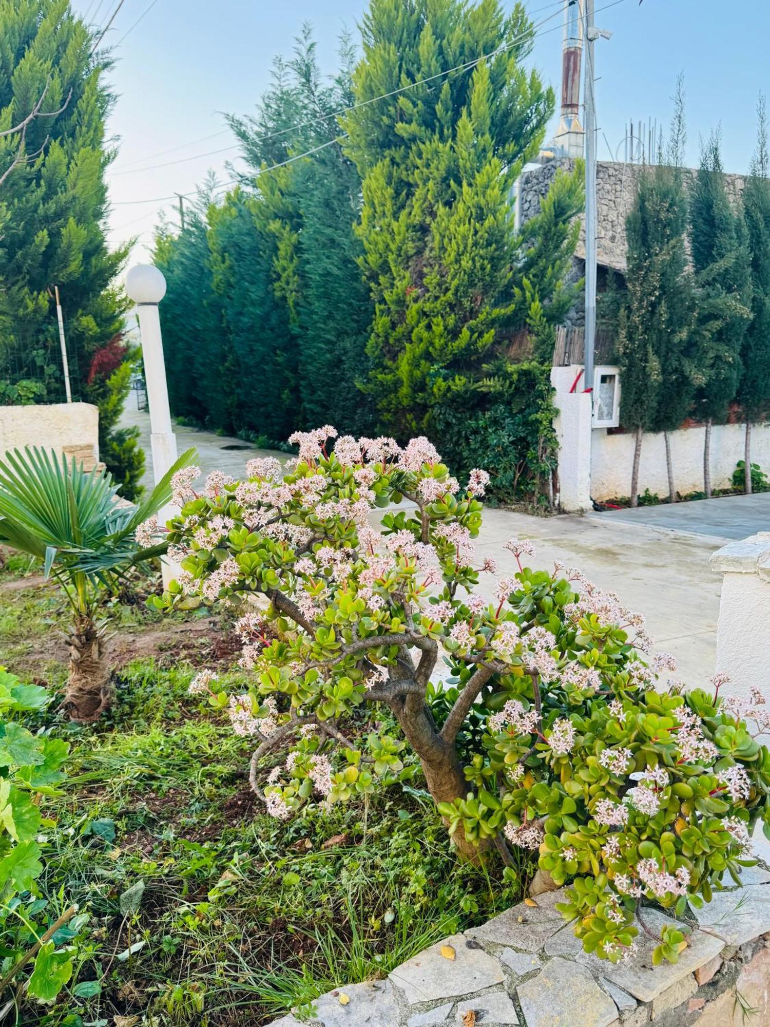 Central Garden Residence Sofia - Free Parking Ksamil Luaran gambar