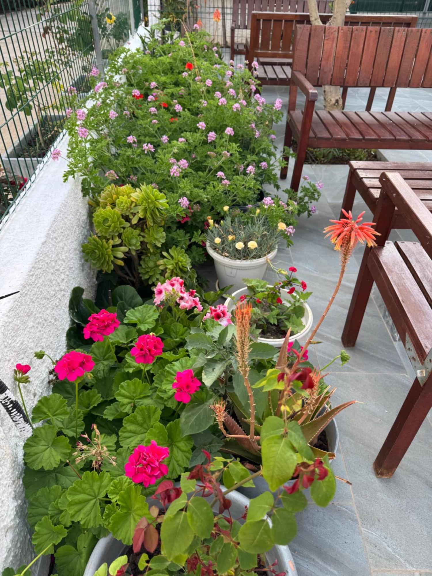Central Garden Residence Sofia - Free Parking Ksamil Luaran gambar